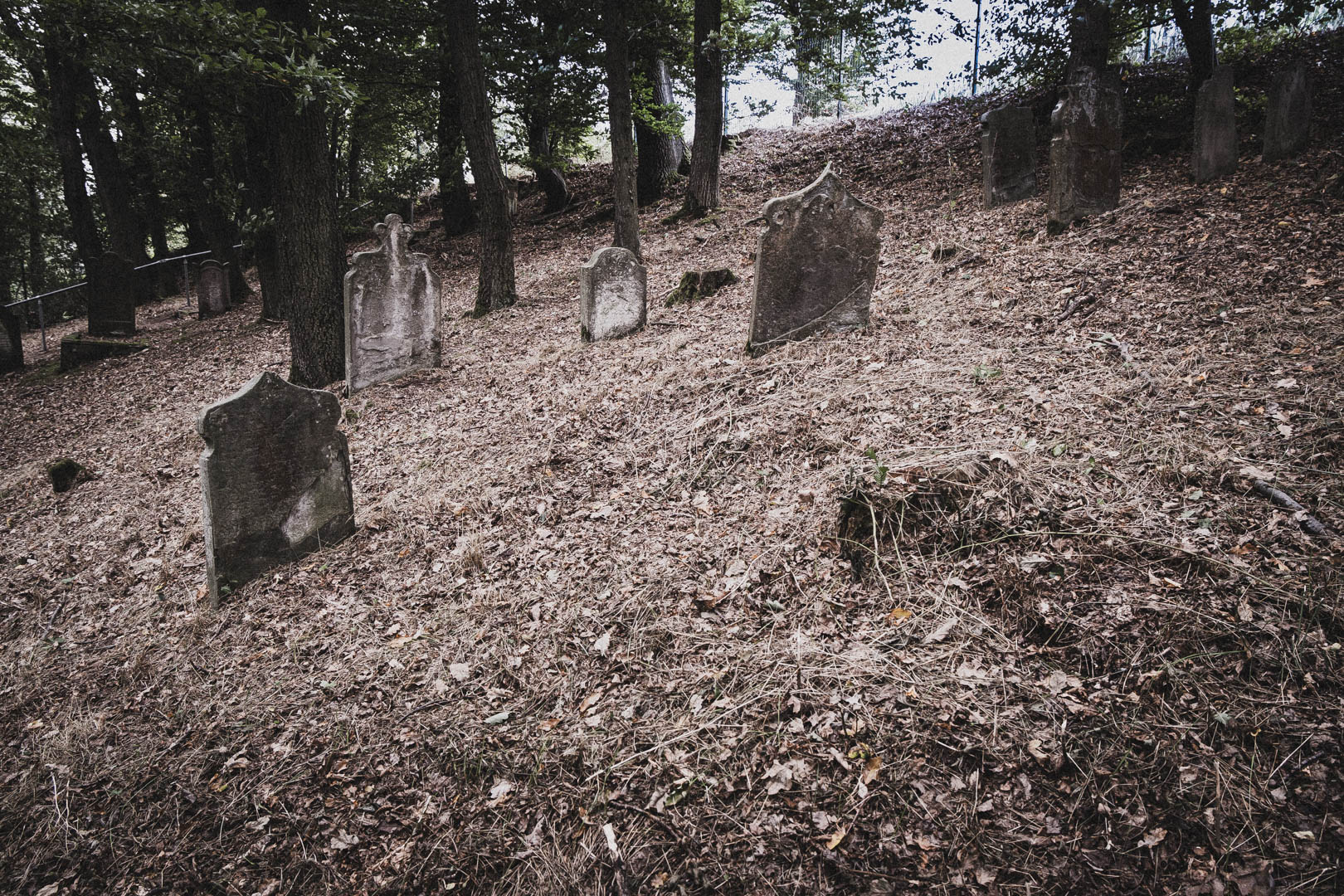 Sontra, Jüdischer Friedhof